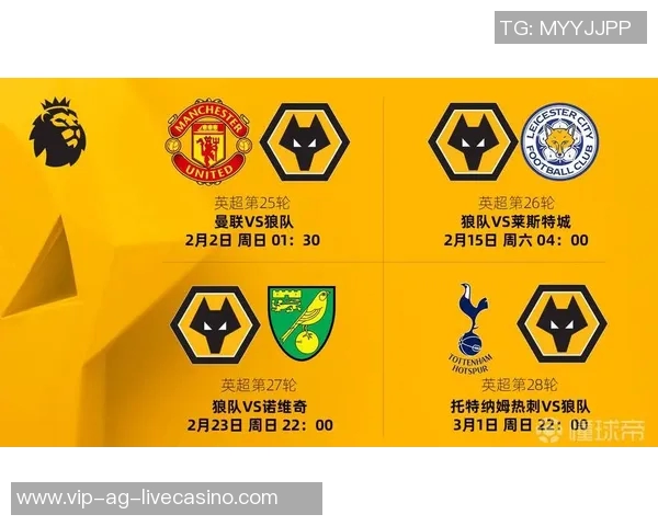 足球冬歇期的意义与影响解析球迷如何度过这段等待的时光