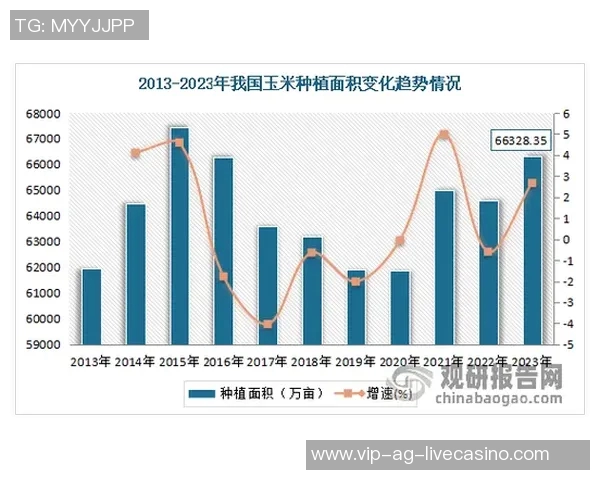 波尔与省的较量探讨两者在现代社会中的影响与发展趋势